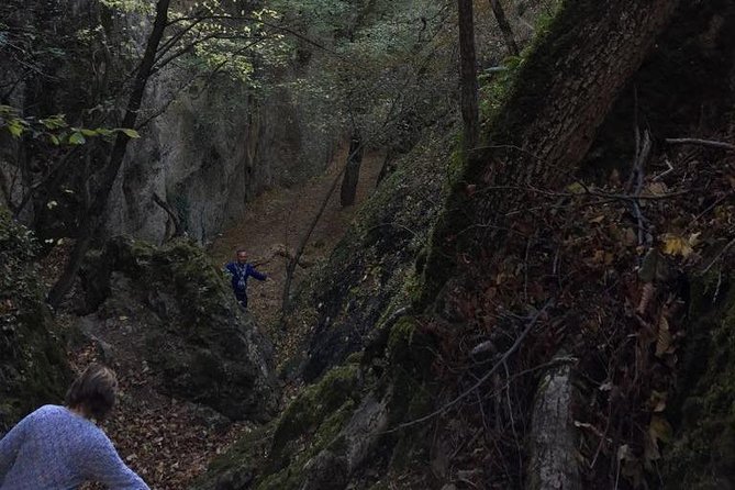 1 day hiking in Birtvisi Canyon from Tbilisi - Who should book this hike?