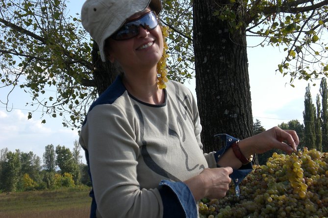 2-Day Private Wine Tour to Kakheti from Tbilisi - Why this private Kakheti trip works well