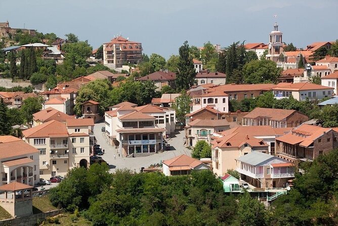 2 Full Day Private Tours from Tbilisi - The private vehicle and guide make the difference