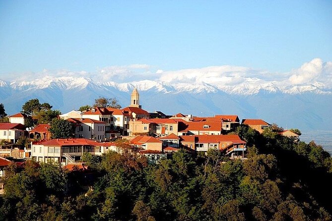 2 Full Day Private Tours from Tbilisi - Who should book these two days?