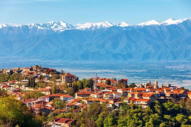 2 Full Day Private Tours from Tbilisi - FAQ
