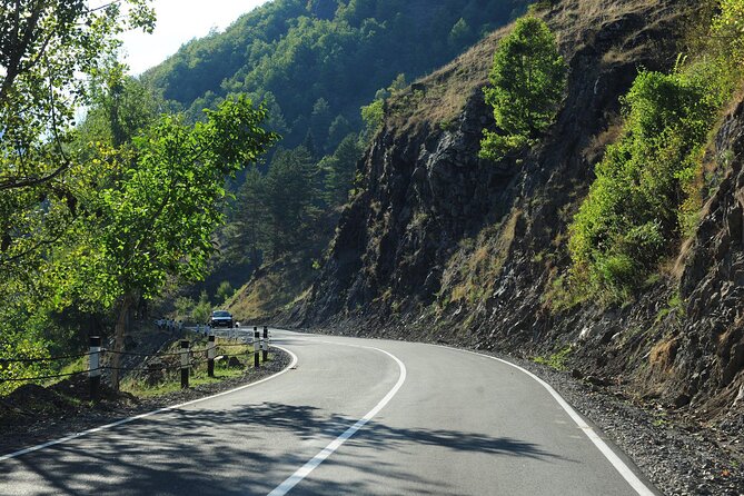 3-Day Private Mestia and Ushguli Tour from Tbilisi - Who should book this tour?