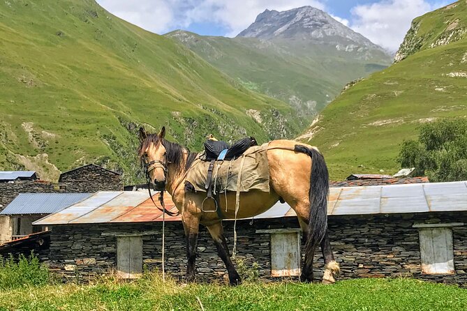 3 Day Tusheti Tour Explore Unspoiled Wilderness - Dartlo shows Tusheti’s strongest village architecture