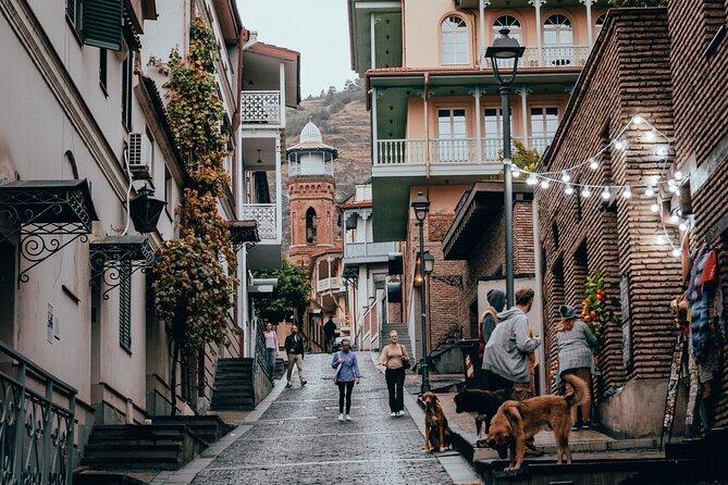 3-Hour Private Guided Walking Tour in Tbilisi - Starting at Freedom Square