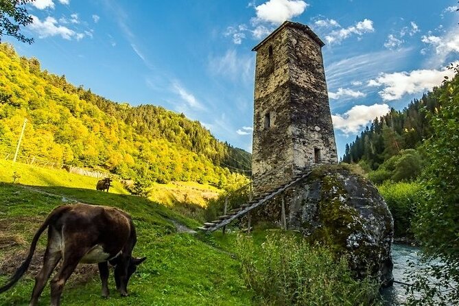 4-Day Tour in Svaneti - Mestia/Ushguli - Day two: Chalaadi Glacier and a moderate mountain walk