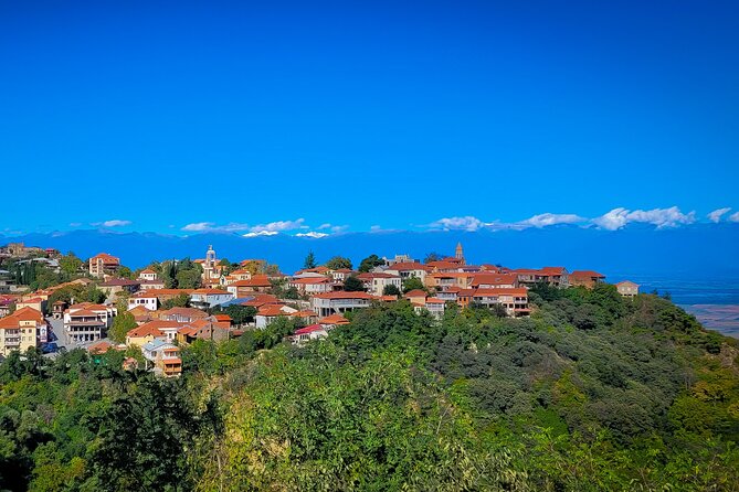 A day tour to Kakheti region/wine/culture/history and gastro tour - Badiauri bread baking after about 75 minutes