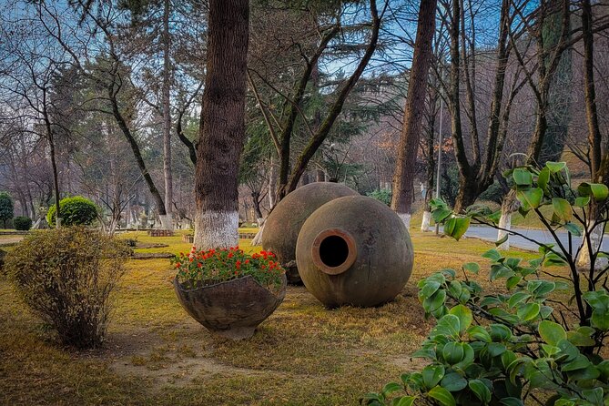 A day tour to Kakheti region/wine/culture/history and gastro tour - Transport, timing, and comfort