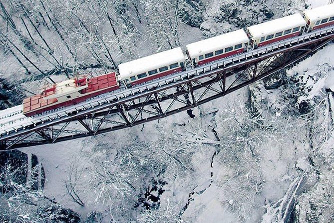Bakuriani ski resort and the legendary Borjomi (Group Tour) - Borjomi and the Kukushka railway