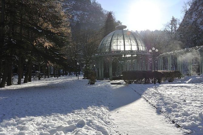 Bakuriani ski resort and the legendary Borjomi (Group Tour) - Five hours in Bakuriani