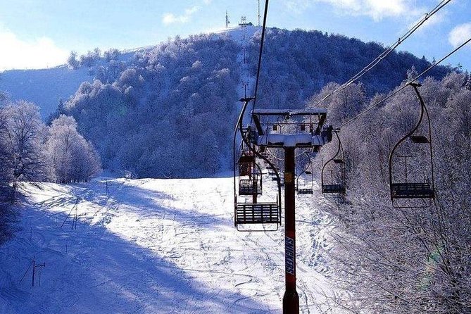 Bakuriani ski resort and the legendary Borjomi (Group Tour) - Is $55 good value?