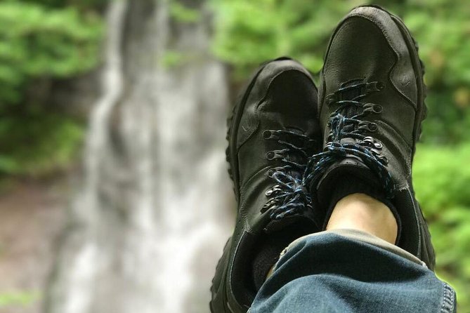 Batumi & Mtirala N.P. Hiking tour from Kutaisi - What makes Mtirala National Park different