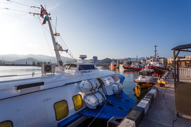 Batumi Walking Tour - Key points at a glance