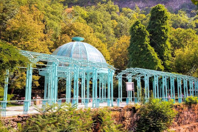 Borjomi National Park Full Day Private Tour From Tbilisi - Borjomi Central Park: mineral water and a short mountain walk