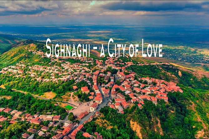 David Gareja, Kakheti and Signagi city of love One Day Tour - What the private vehicle adds