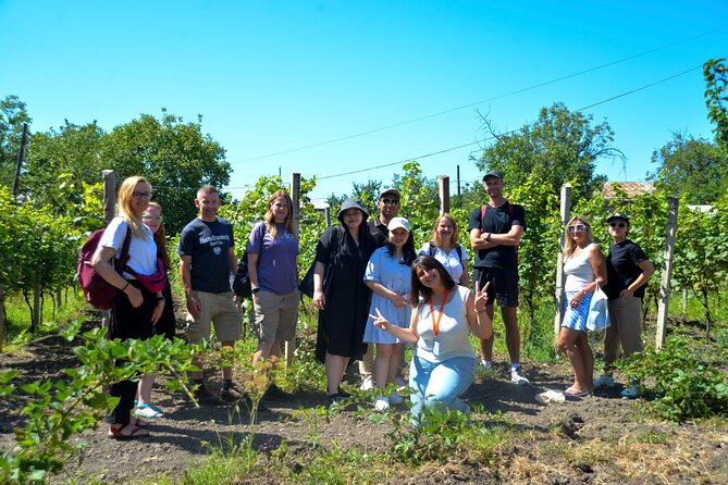 Day Trip to Kakheti Wine Region Including 9 Wine Tastings - KTW Winery: more pours, less intimacy
