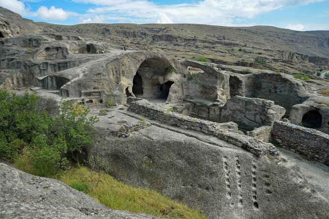 Day Trip to Mtskheta Gori and Uplistsikhe - Who should book this trip?