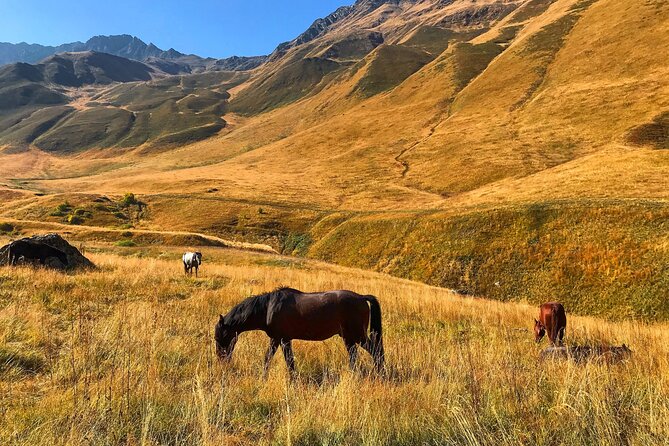 From Tbilisi: Kazbegi Ananuri Gudauri and Trusso Valley by 4x4 - From Europe Square to the Georgian Military Highway