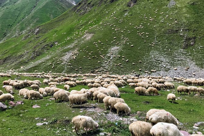From Tbilisi: Kazbegi Ananuri Gudauri and Trusso Valley by 4x4 - The Friendship Monument Above the Highway