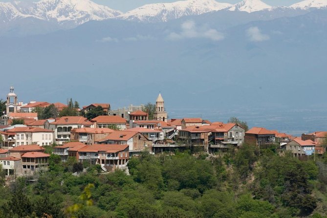 Full Day Private Wine Tour in Kakheti Region with Lunch and 3 Wine Tastings - Key Things to Know Before You Book