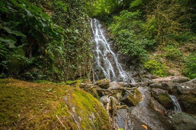 Full Day Tour from Batumi to Waterfalls - Makhuntseti, the main waterfall stop