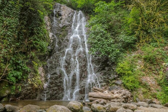 Full Day Tour from Batumi to Waterfalls - The driver can shape the whole experience