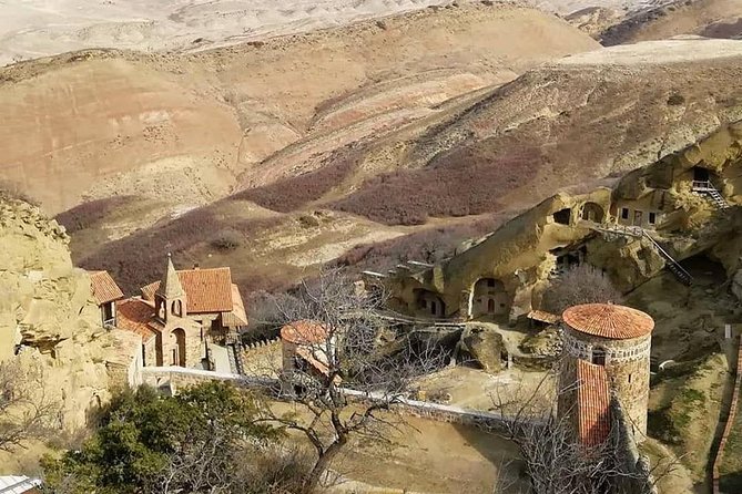 Full day tour to Kakheti: David Gareja and Signagi Town - What the private format adds at $140