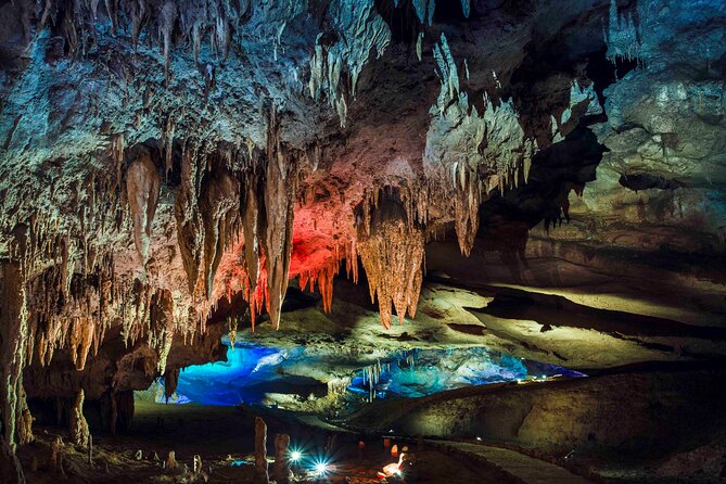 Georgia in 7 Days: A Haven for Nature and Sea Lovers - Day 7: The long return to Tbilisi