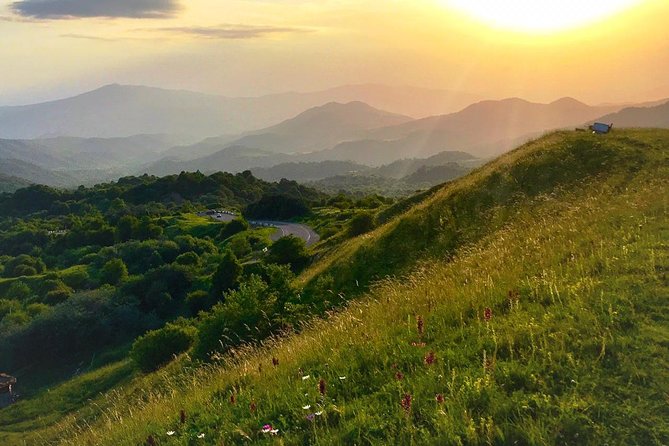 German village in Georgia (Elisabethal) & Wine tasting - Is $75 good value?