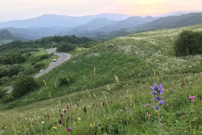 German village in Georgia (Elisabethal) & Wine tasting - The guide can shape the experience