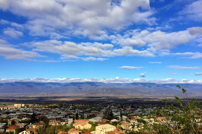 Grand tour to Kakheti for wine lovers: Telavi-Kvareli-Sighnaghi - Telavi and Batonis-Tsikhe Fortress