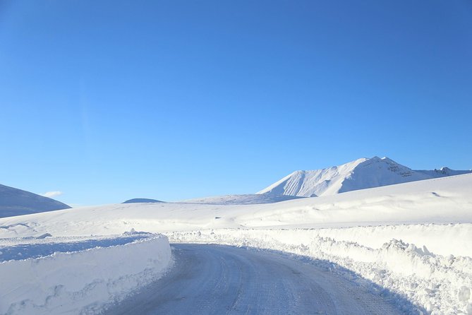 Gudauri Ski Resort day tour from Tbilisi - Reaching Gudauri at 2,200 meters