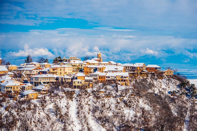 Highlights of Kakheti region-Signagi,Bodbe,Wine tasting(Private Tour) - Guides who make the private format worthwhile