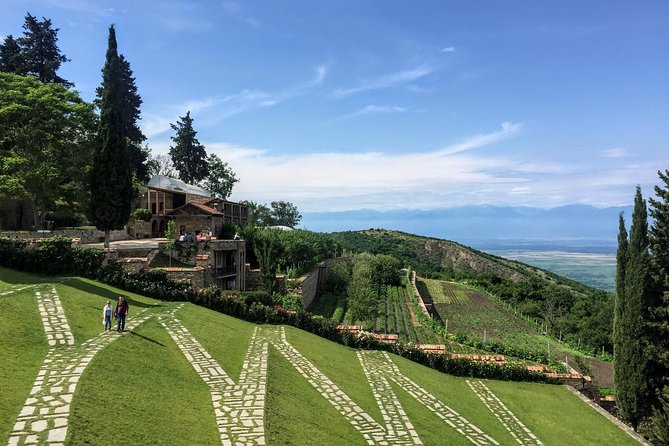 Kakheti and Sighnaghi tour with winetasting - What $95 Per Person Really Covers