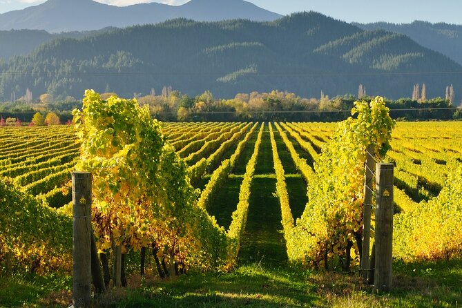 Kakheti: Bodbe, Sighnaghi, Telavi Wine Tour from Tbilisi - The Sighnaghi Museum offers a short cultural stop