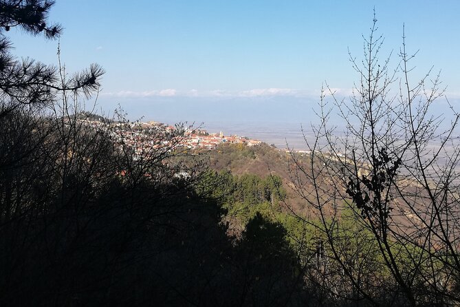 Kakheti Full Day Private Tour - Khareba Wine Tunnel, a cellar with a military past