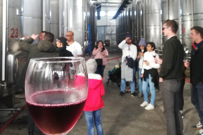 Kakheti Full Day Private Tour - Comfort, timing, and the practical side