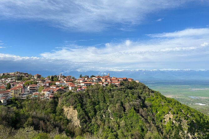 Kakheti-Sighnaghi Day Trip with wine tasting and Bodbe Monastery - Key points to know before you book