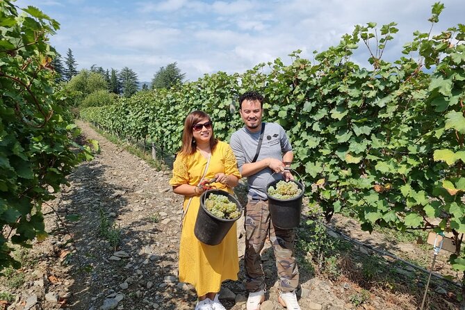 Kakheti - Small wineries and family-cooked lunch • Private tour - The drive back to Tbilisi