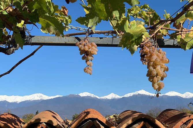 ️ Kakheti tour - Private Full Day Wine tour with Lunch and Wine tasting - Badiauri: bread, cheese, and a useful first taste