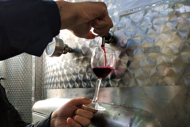 Kakheti Wine Tour with 20+ Wine Tastings & Qvevri Masterclass - The lunch option and Georgian food
