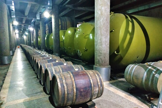 Kakheti Wine Tour with 20+ Wine Tastings & Qvevri Masterclass - Is $147.50 a fair price?