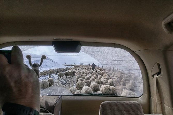 Kazbegi Adventure - Private Day Trip From Tbilisi with a Dinner + Masterclass - The Private Vehicle and Guide Service