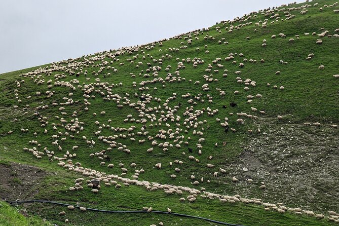 Kazbegi & Gudauri Private Full-Day Tour From Tbilisi - The two rivers and the climb toward Gudauri