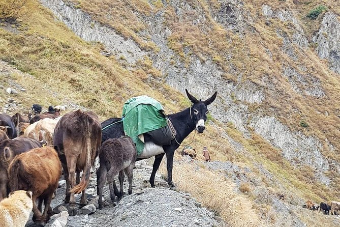 Kazbegi MOUNTAIN Tour (GLORY OF THE NATURE) + MANY NEW LOCATIONS - Kobi’s sulfur water and the climb to Gergeti