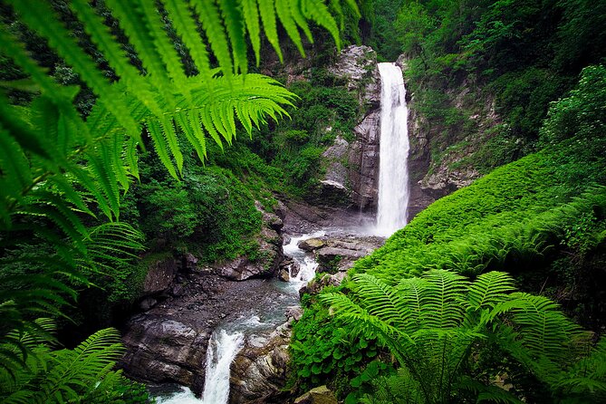Lagodekhi - A day hiking from Tbilisi - What the $95 Price Delivers