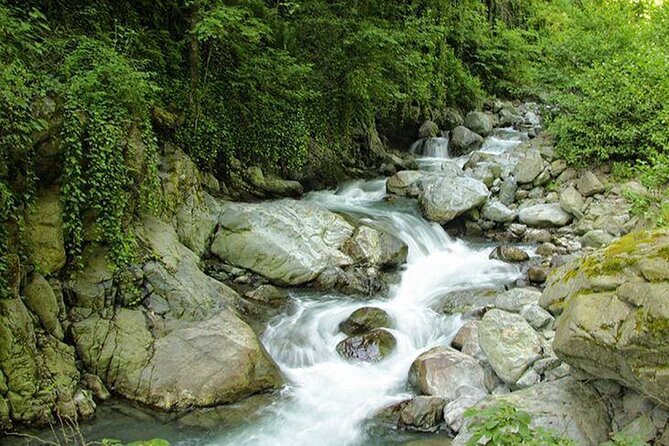 Lagodekhi - A day hiking from Tbilisi - Who Will Enjoy This Day Most