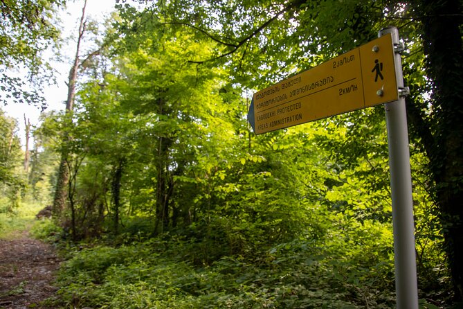 Lagodekhi - A day hiking from Tbilisi - Following the Ninoskhevi River
