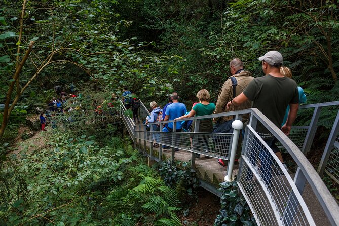 Martvili canyon & Prometheus Cave group tour from Tbilisi - The price is reasonable, but the extras matter