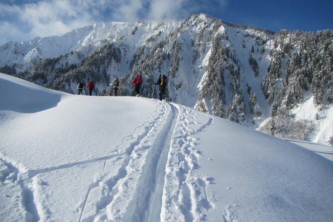 Mestia Ushguli private tour - Who should book this Mestia excursion?