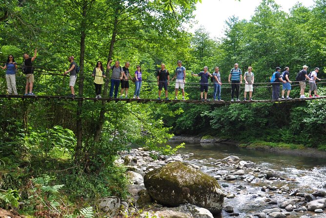 Mtirala National Park Tour - Leaving Batumi for Mtirala’s wet forests